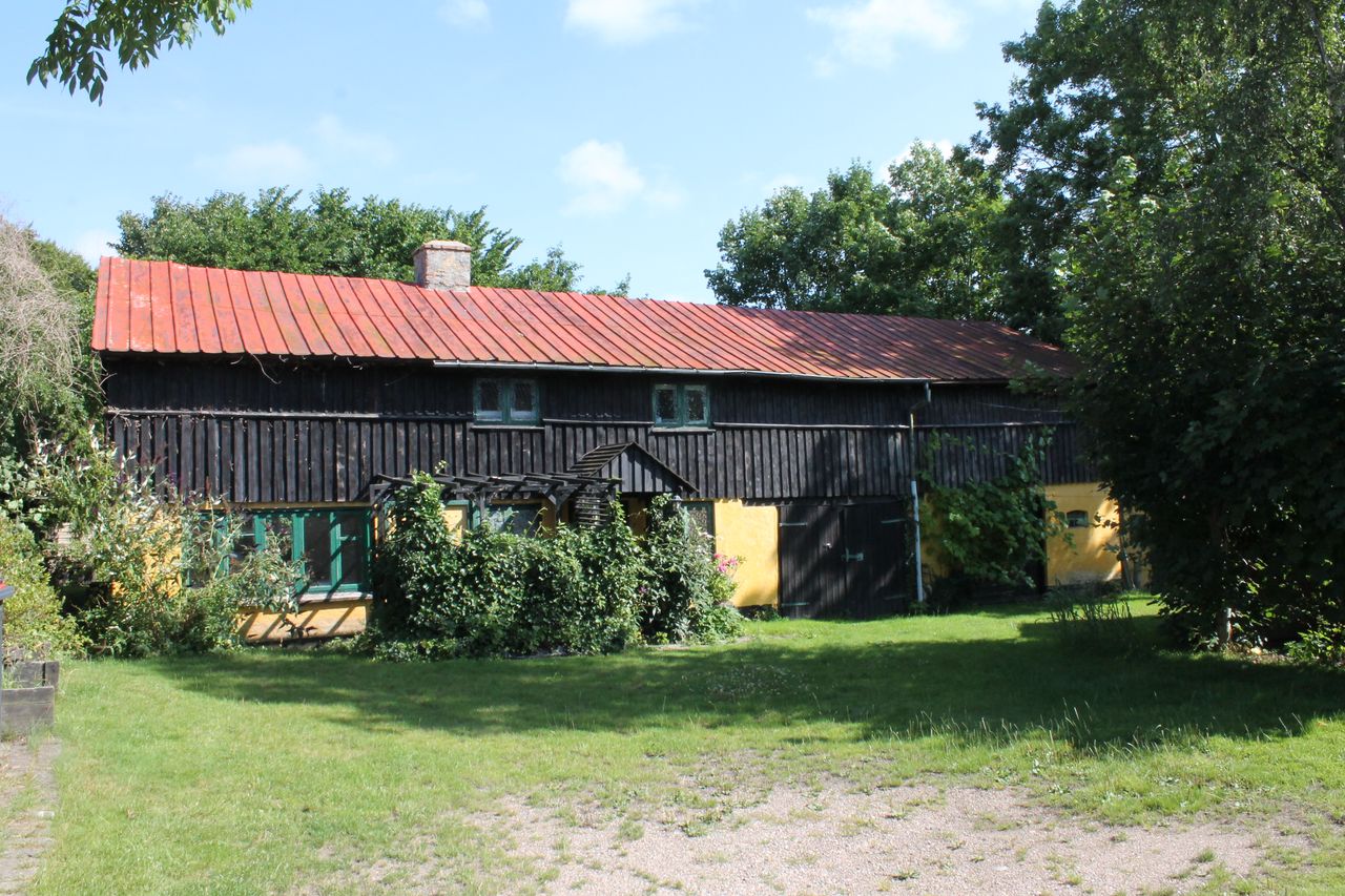 image 04