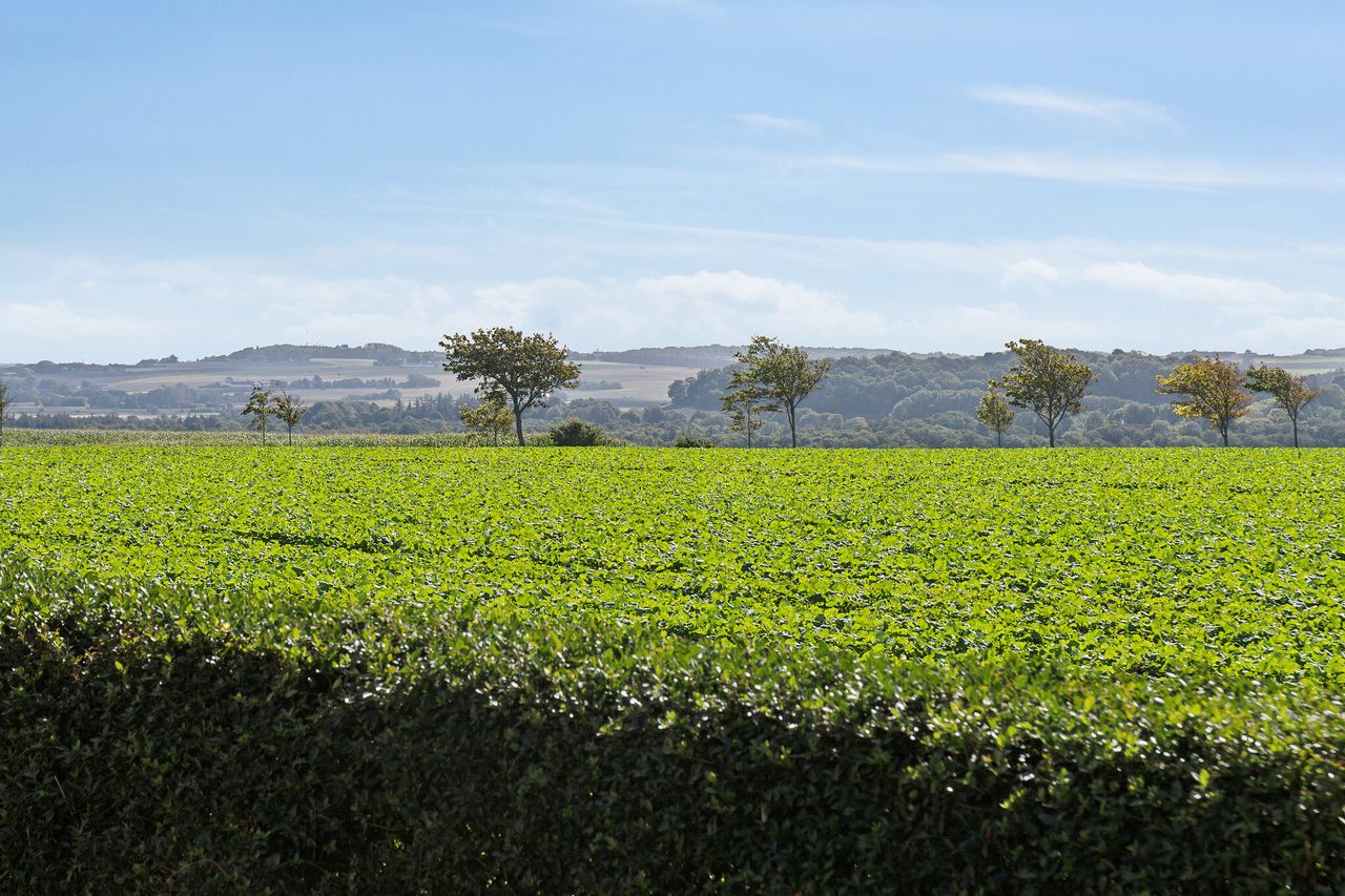 image 03
